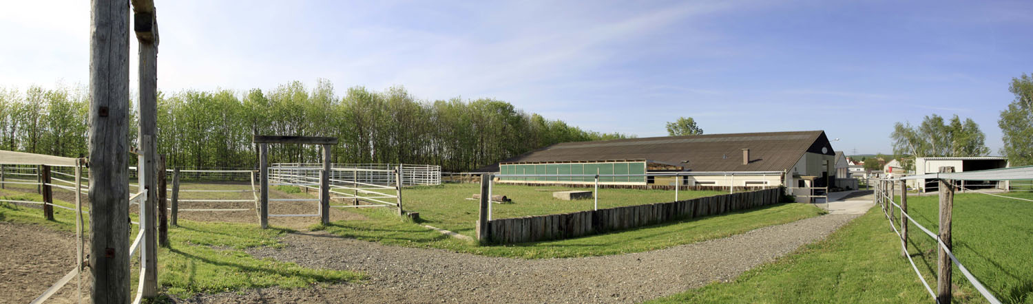 Koppel-Panorama